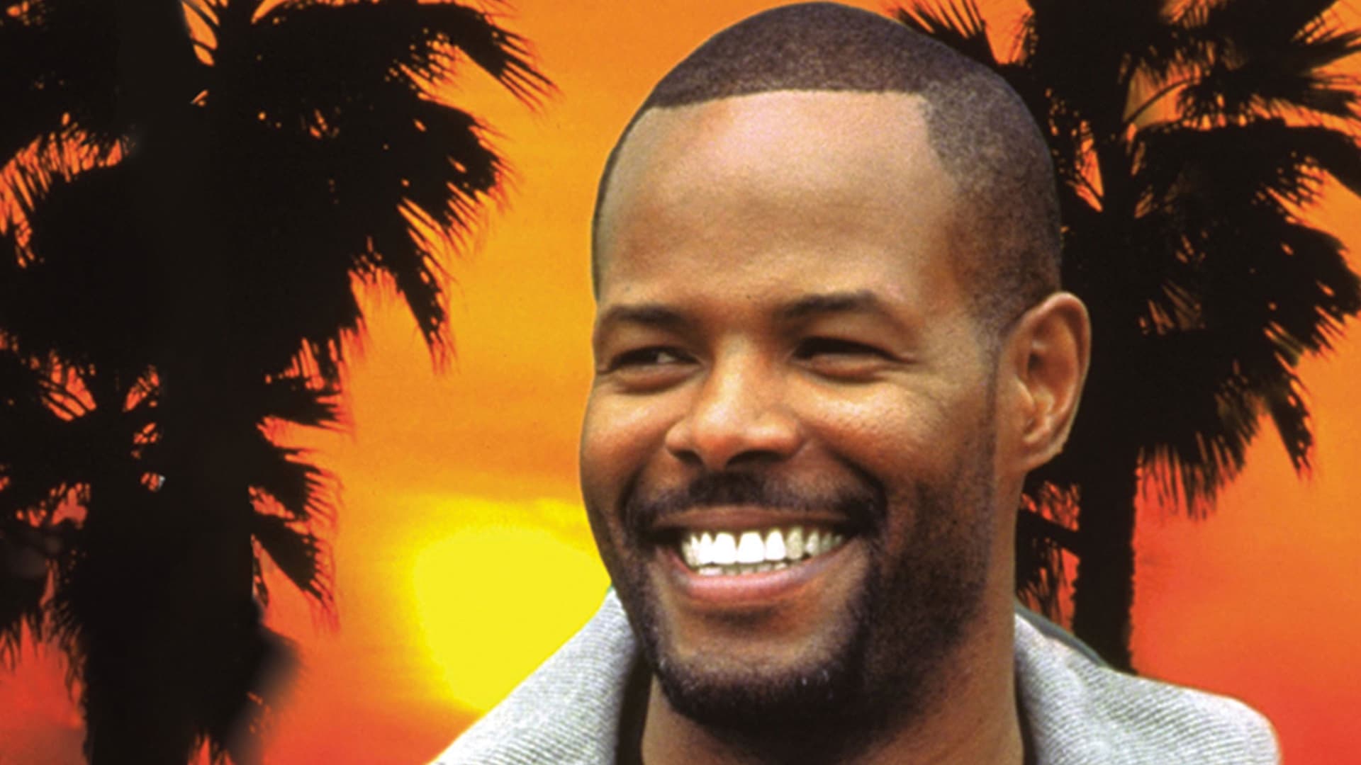 Корица: Пропавшие Миллионы