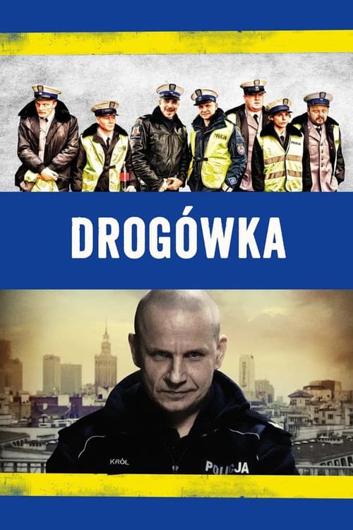 Дорожный патруль (2013)