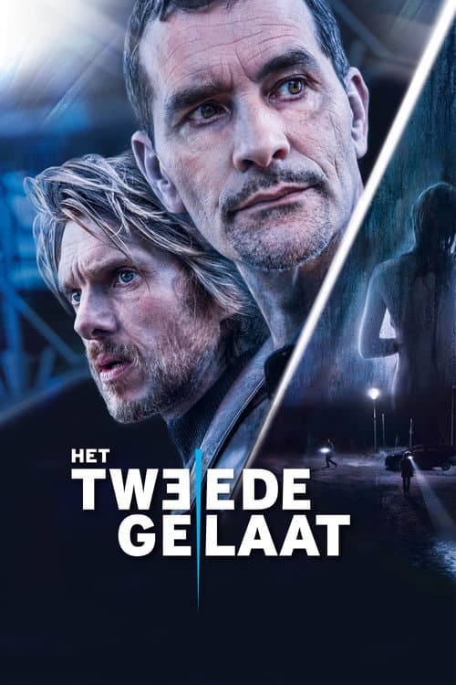 Двойное лицо (2017)