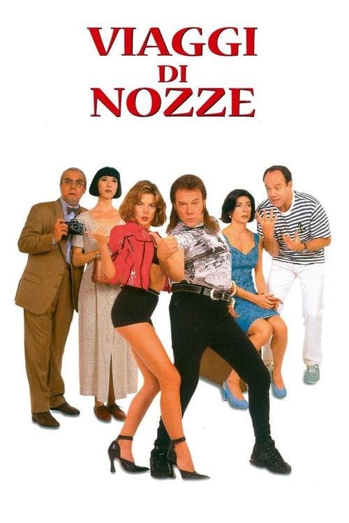 Свадебные путешествия (1995)