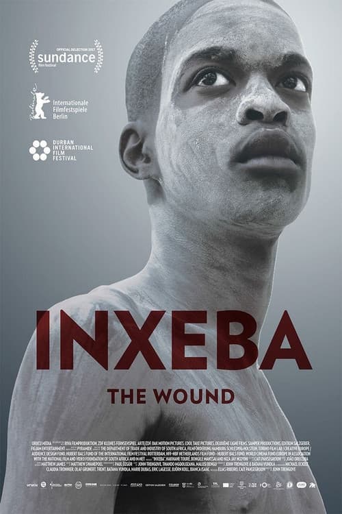 Рана (2017)