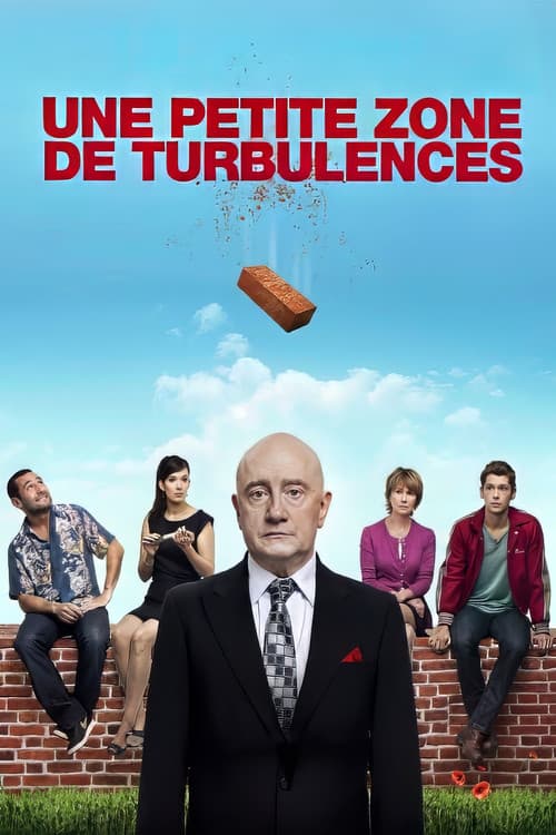 Маленькая зона турбулентности (2010)