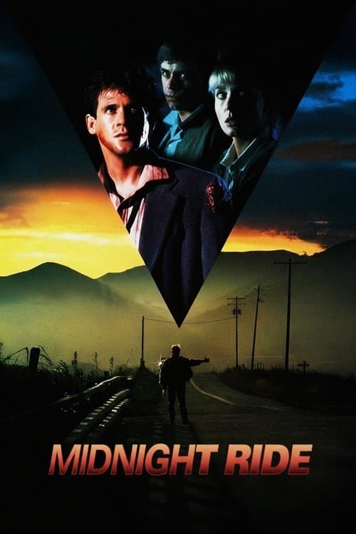 Ночной попутчик (1990)