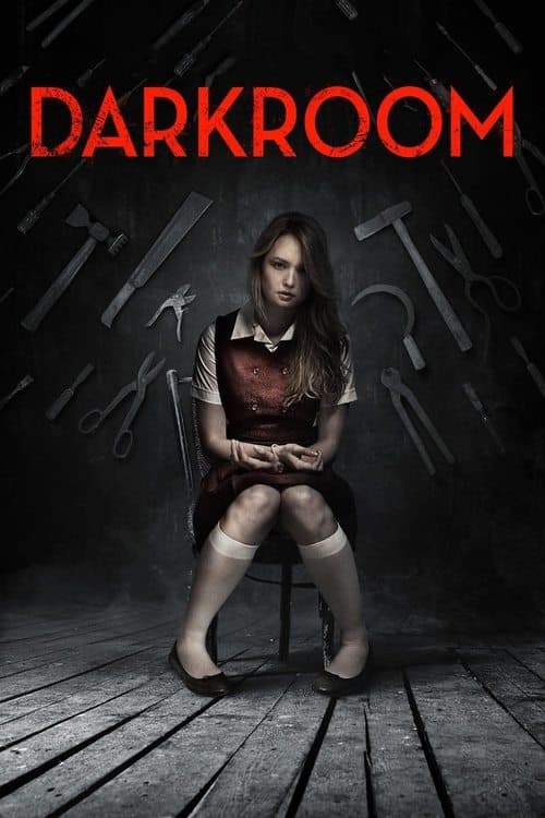 Фотолаборатория (2013)