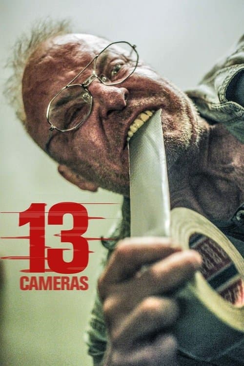 13 камер (2016)