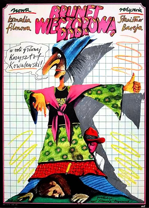 Брюнет вечерней порой (1976)