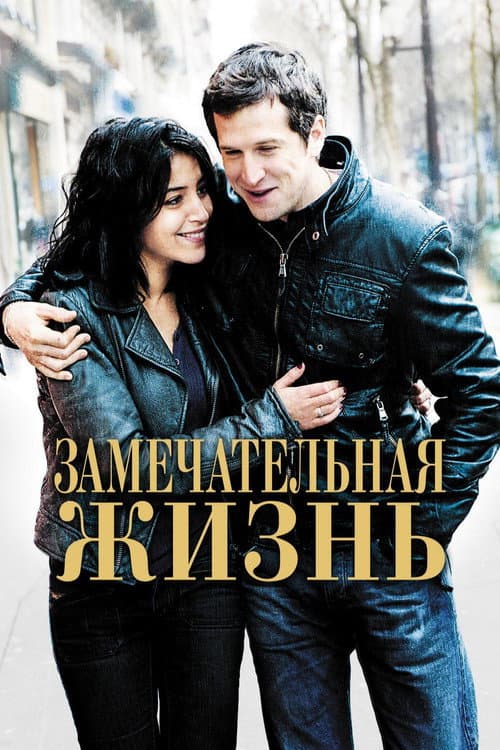 Замечательная жизнь (2011)