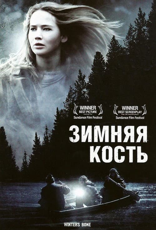 Зимняя кость (2010)