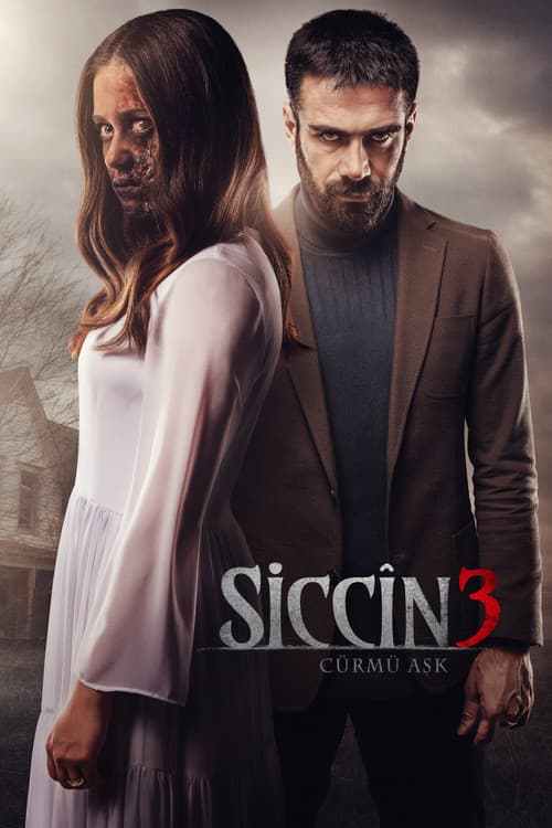 Сиджин 3 (2016)