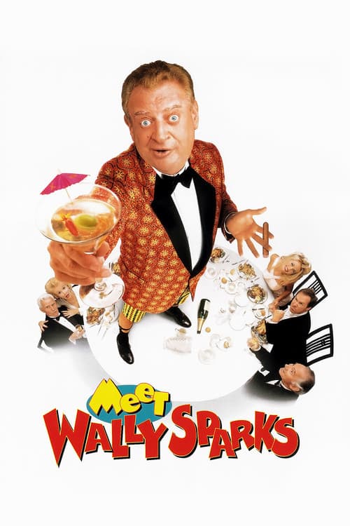 Познакомьтесь с Уолли Спарксом (1997)