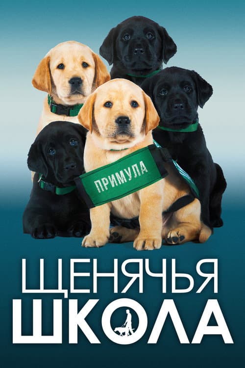 Щенячья школа (2019)