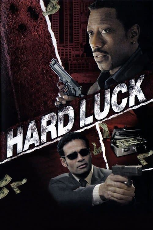 Тяжелый случай (2006)