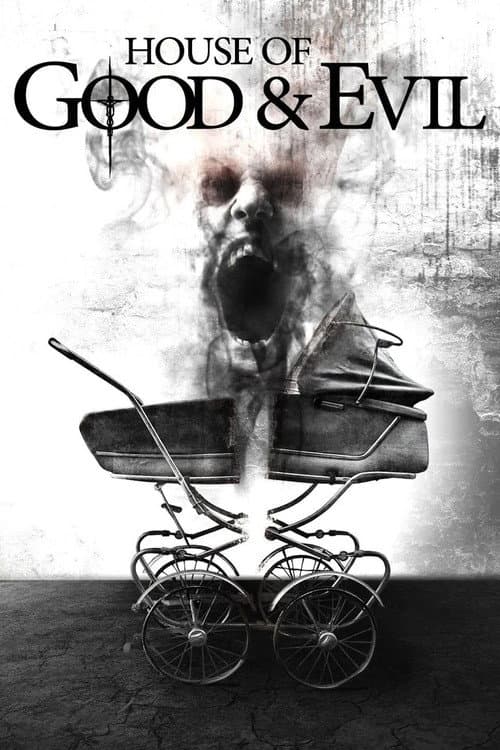 Дом добра и зла (2013)