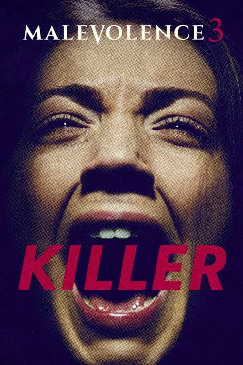 Злоумышленник 3: Убийца (2018)