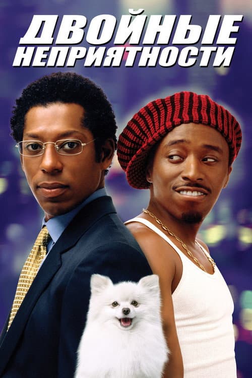 Двойные неприятности (2001)