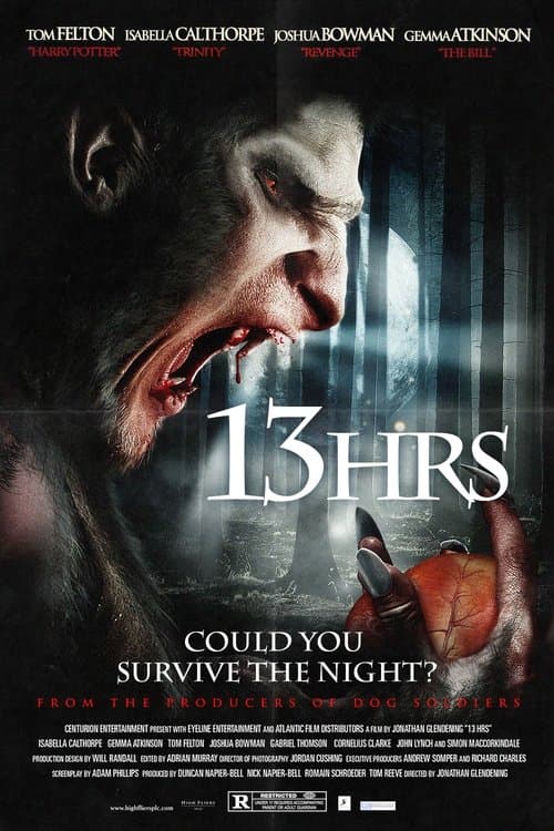 13 часов (2010)