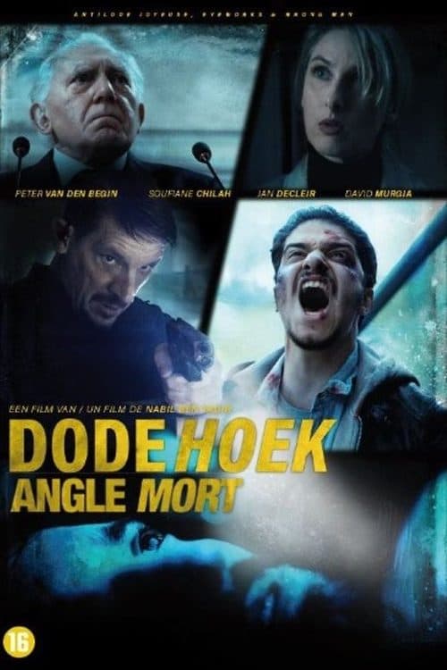 Слепая зона (2017)