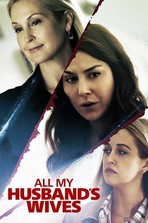 Все жены моего мужа (2019)