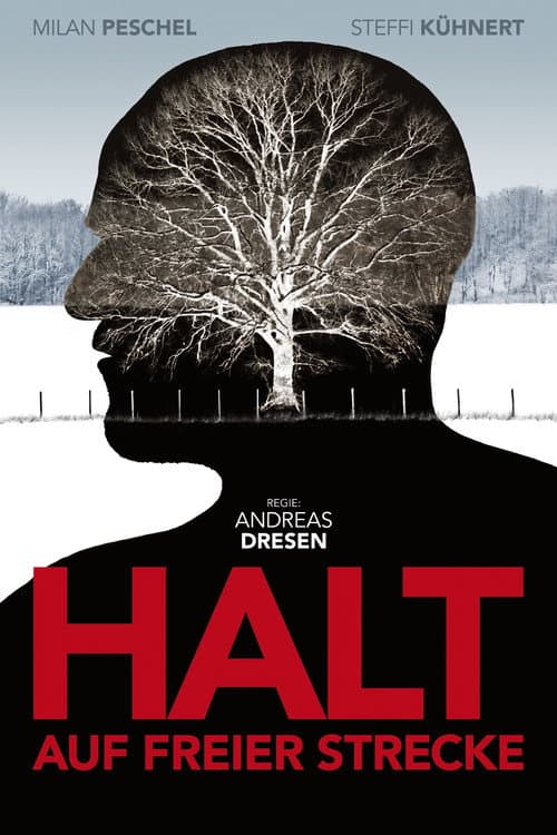 Остановка на перегоне (2011)