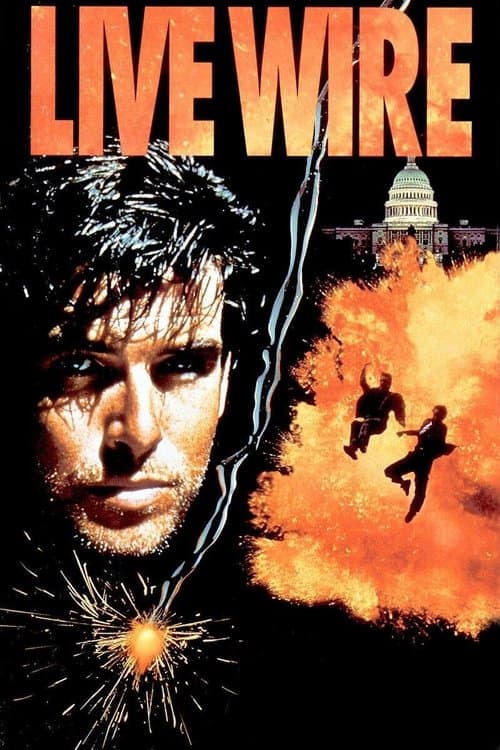 Провод под током (1992)