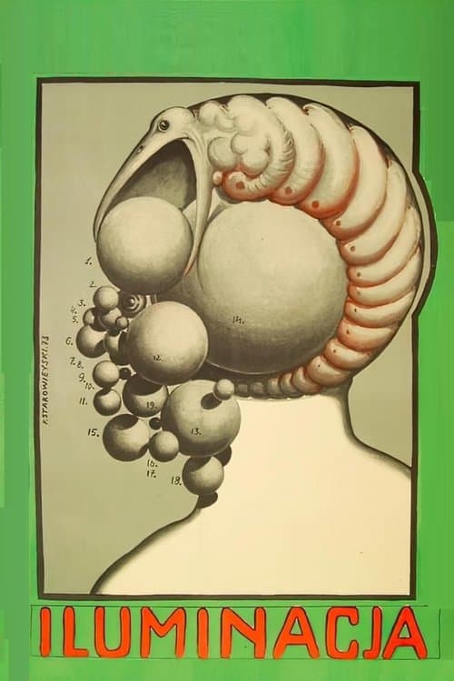 Иллюминация (1973)