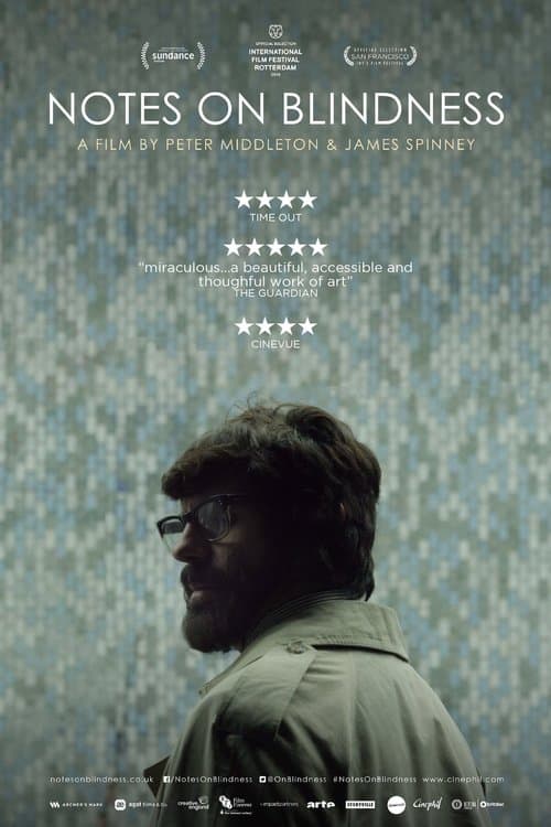 Записки о слепоте (2016)