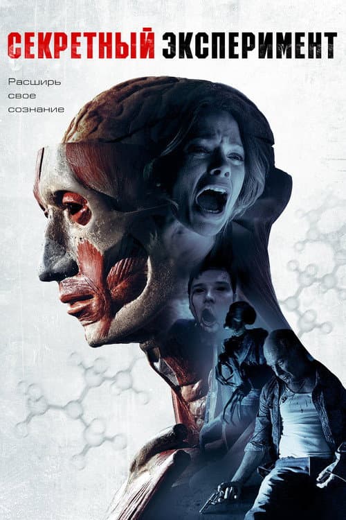 Секретный эксперимент (2013)