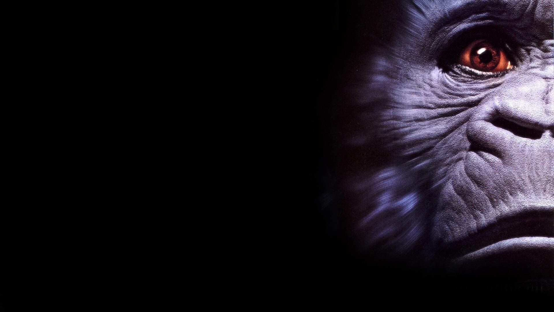 Корица: Конго